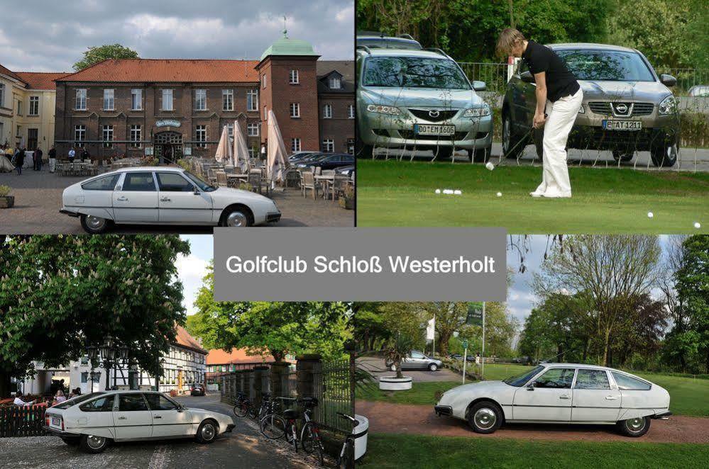 Apartment Hertenflats - & - Kreis Recklinghausen Herten (North Rhine-Westphalia)